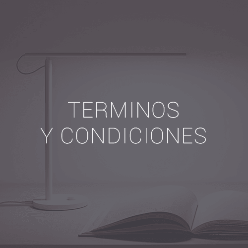 Términos y condiciones del sitio